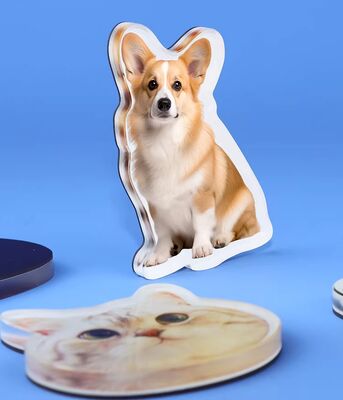 ハッピーギフト カスタム製造 ペットデザイン アクリル 冷蔵庫 マグネット 可愛いアニメ カスタマイズ ホログラムプラスチックステッカー